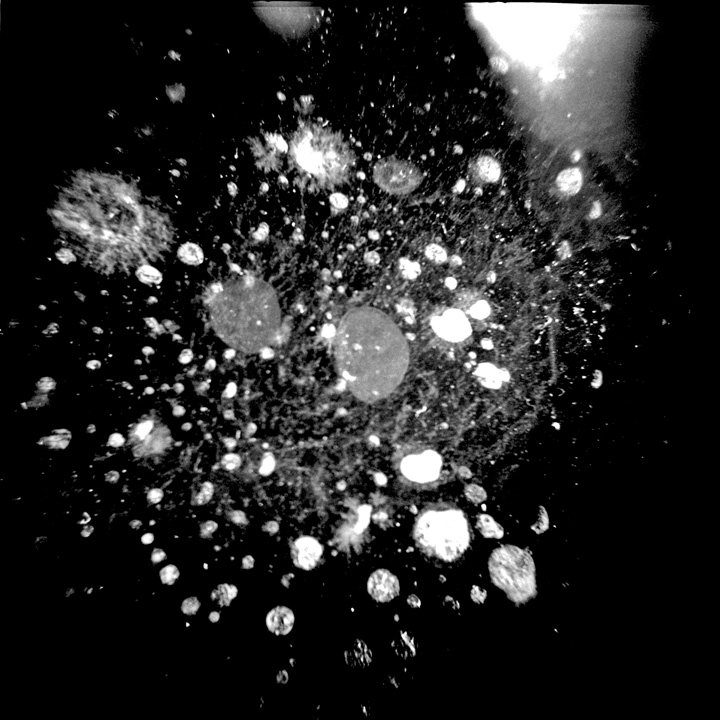A radial burst of pale points scattered across black in grainy high contrast — a spray of distinct instances thrown from a center.